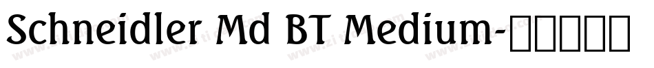 Schneidler Md BT Medium字体转换